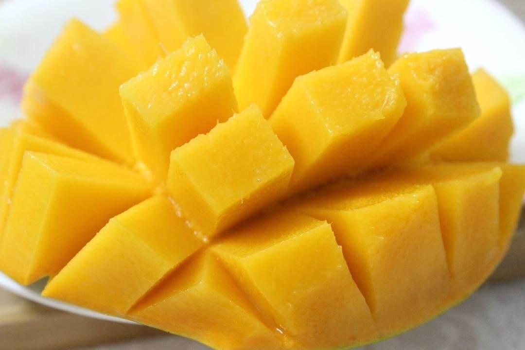 芒果烘干工藝